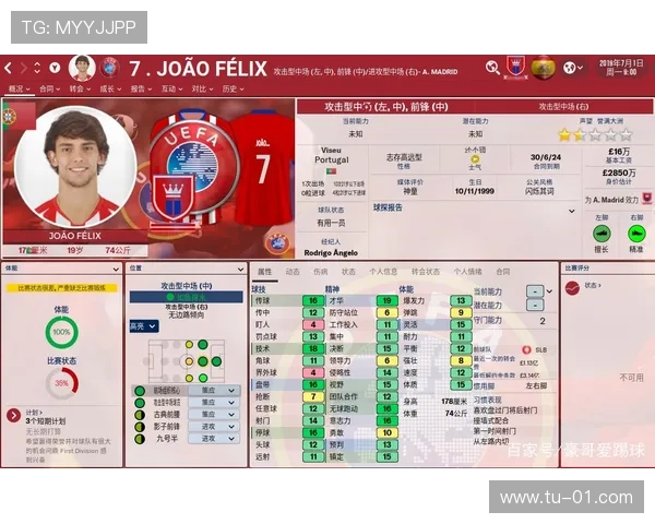 足球即时比分球探体育全景解析